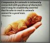 compassionforanimals.jpg
