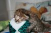Kimi 2013 0707 01.JPG