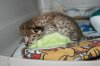 Kimi 2013 0707 06.JPG