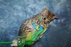 Kimi 2013 0817 14.JPG