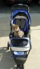 my wheels.jpg