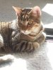 20131027_110933.jpg