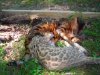DSCN0605.JPG