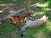 DSCN0608.JPG