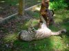 DSCN0609.JPG