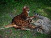DSCN0610.JPG