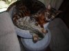 DSCN0618.JPG