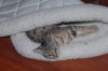 Elsa-05.JPG
