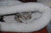 Elsa-08.JPG