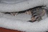 Elsa-10.JPG
