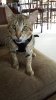 20140702_114517.jpeg