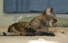 dsc_0038crop.jpg