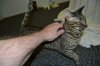 dsc_0023small.jpg