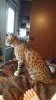 Rayne 18 weeks 2.jpg