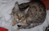 Elsa-3.JPG