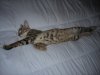 DSCN0634.JPG