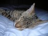 DSCN0632.JPG