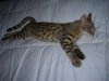 DSCN0631.JPG