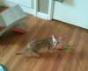 Baby Kika.jpg