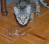 Elsa-5.JPG