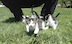 DSC01351.jpg