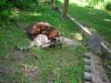 DSCN0612.JPG