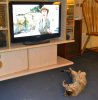 Kilifi watching tv 2.jpg Kilifi watching tv 2.jpg