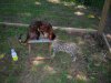 DSCN0679.JPG