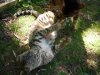 DSCN0689.JPG