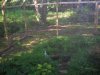 DSCN0695.JPG