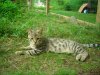 DSCN0701.JPG
