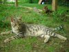 DSCN0704.JPG
