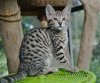 DSC_8472.jpg