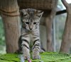 DSC_8545.jpg