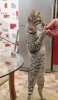 ванесса дома нов-2.jpg