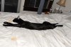 Sep29-10-baz-bed.jpg Sep29-10-baz-bed.jpg