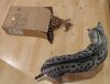 box 2.jpg