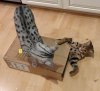 box 3.jpg