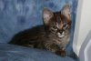 Shere Tani little boy 2014 0823 07.JPG