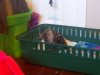 freddy day 1.jpg
