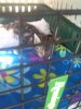 freddy on his way home aug27th2014.jpg