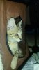 20140829_210741.jpg