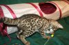 Big Boy 2014 0830 01.JPG