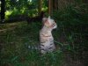 DSCN0560.JPG