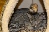 dsc_0048 small.jpg