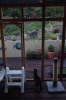 catio first inspection by Rafiki.jpg