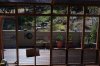 view from the future catio.jpg