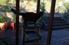 Jammu approves the temporary cat stand.jpg