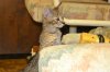 dsc_0024 crop2.jpg