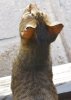 dsc_0011 crop.jpg